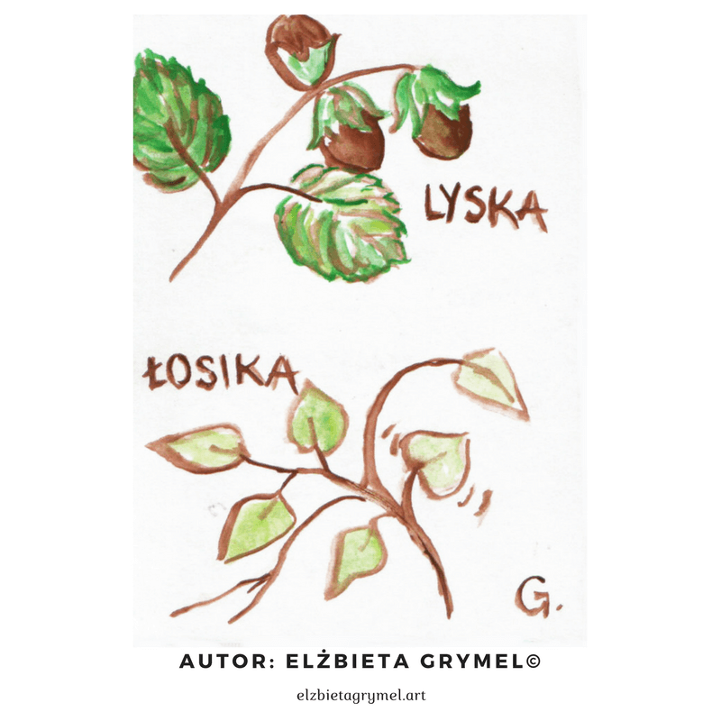 Wilijno legynda ło stromach