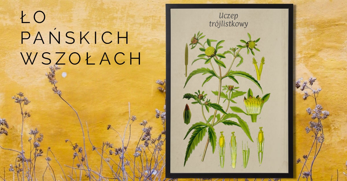 Ło pańskich wszołach