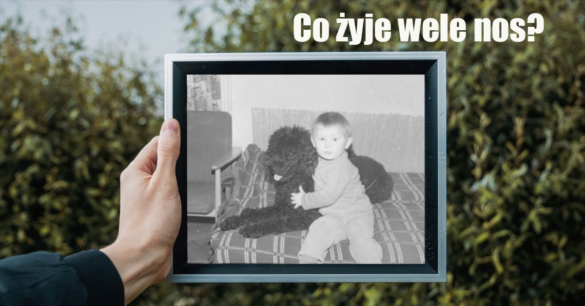 co żyje wele nos