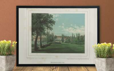 „Służący czy utopiec?” fragment tekstu „Ludzkie przywary utopków”