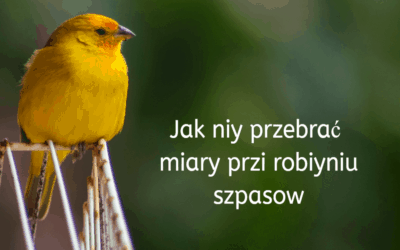 Jak niy przebrać miary przi robiyniu szpasow